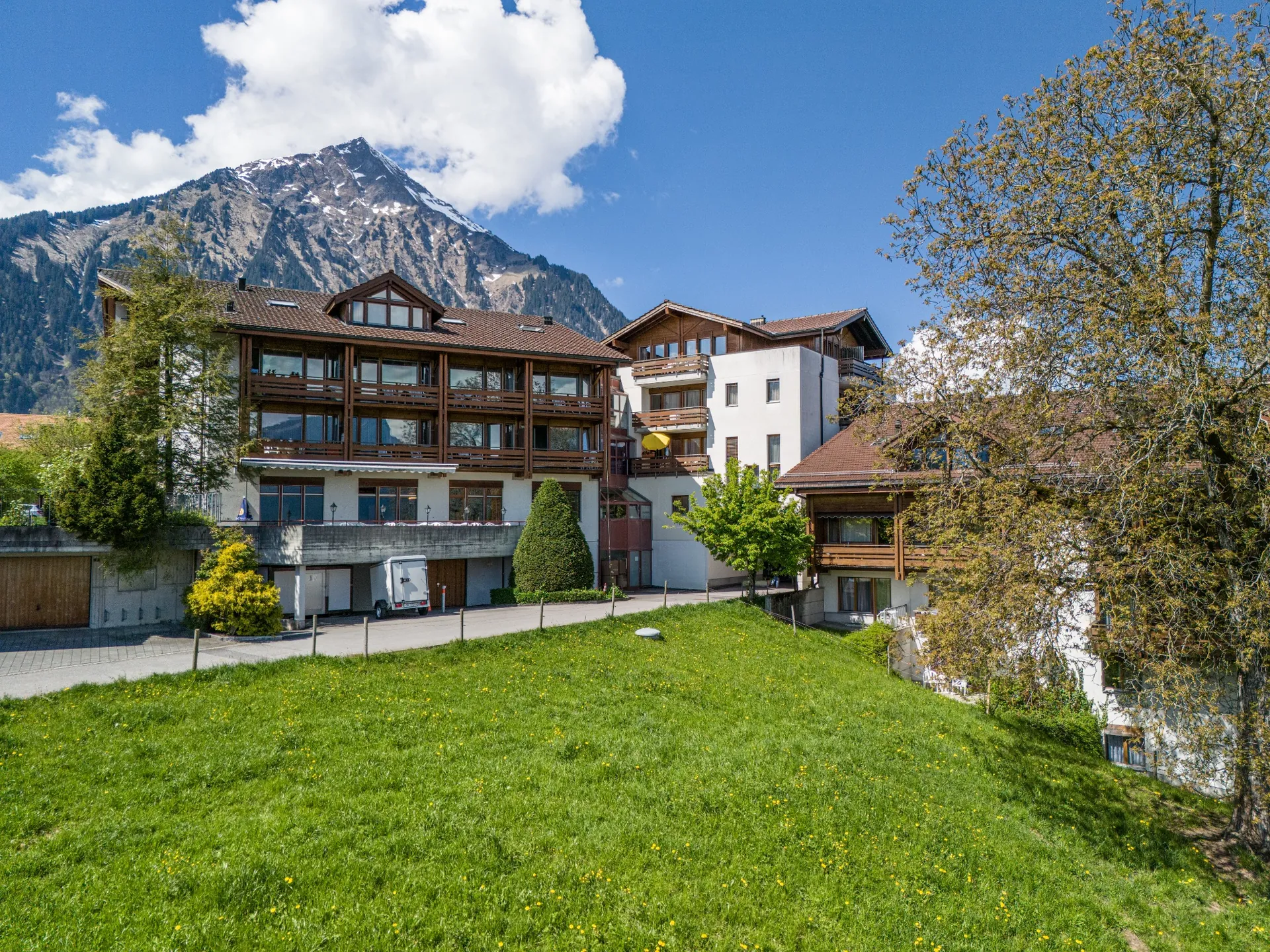 Lake Thun View
